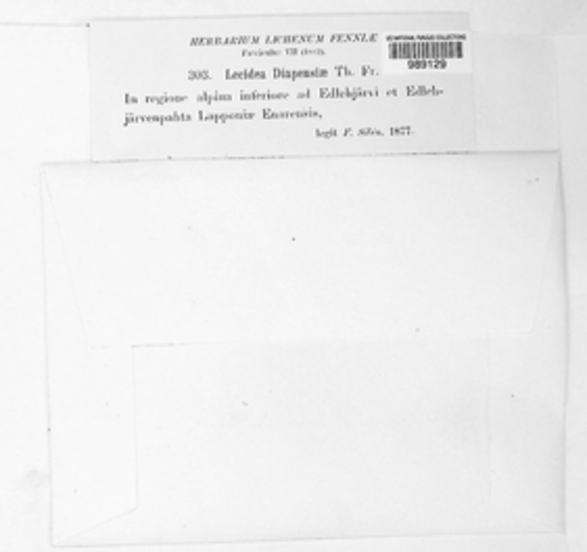 Bryobilimbia diapensiae image